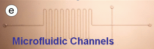 Microfluidic Channels_Herman